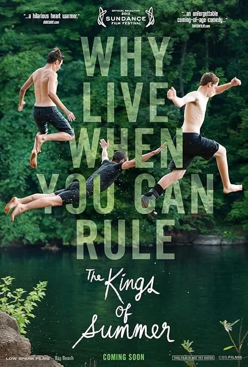 The Kings of Summer film posteri